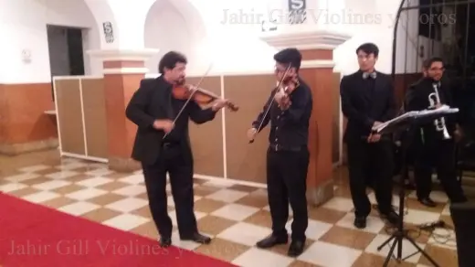 Servicios de violinista para eventos