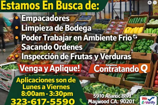 Trabajo General