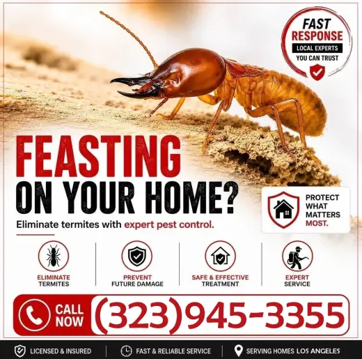 EXTERMINADORES TERMITAS LOS ANGELES Y OTRAS AREAS CERCANAS.-