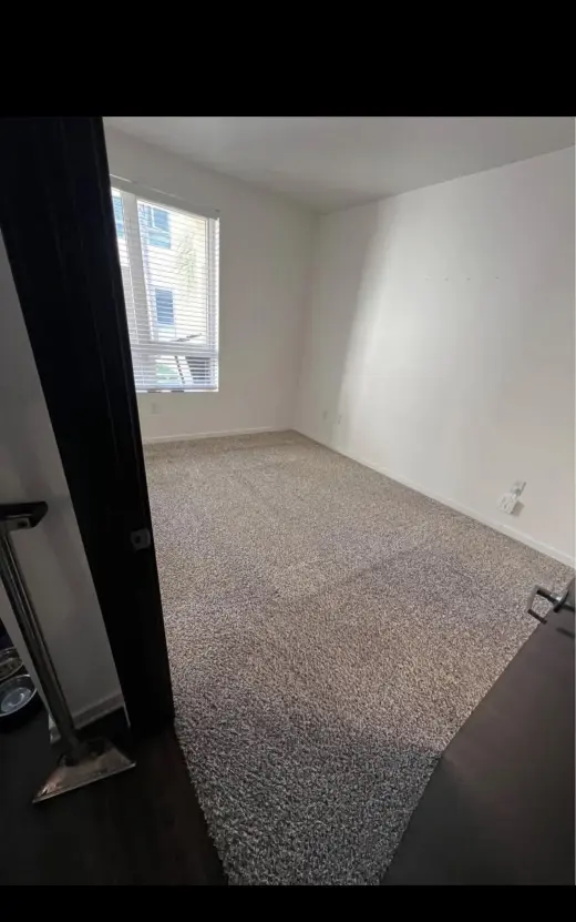 Carpet clean