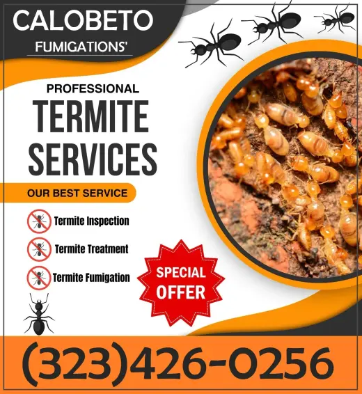 TIENES TERMITAS ? FUMIGACIONES.-