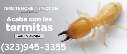 FUMIGACION TERMITAS MAYWOOD