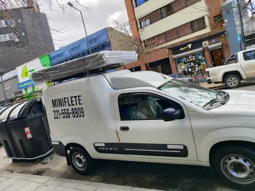 Miniflete Dario