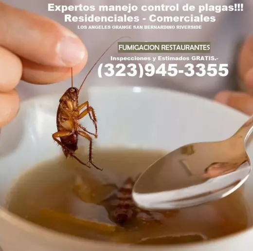 FUMIGACIONES RESTAURANTES COMERCIALES LOS ANGELES