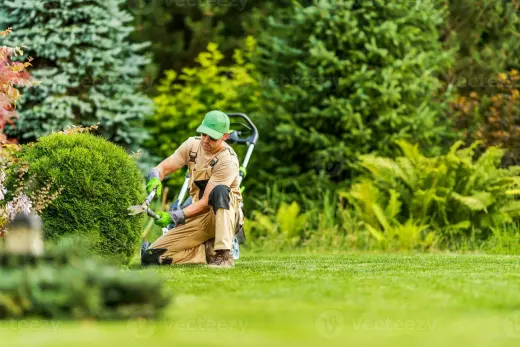 Contratista en jardinería