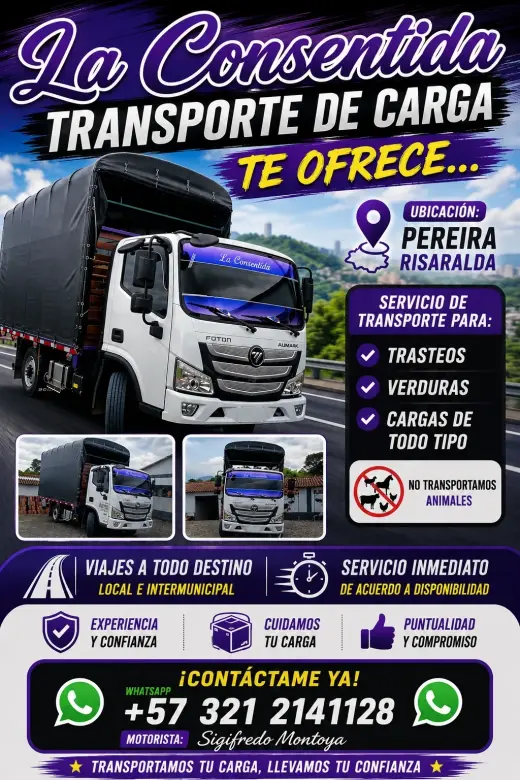 TRANSPORTE DE CARGA,