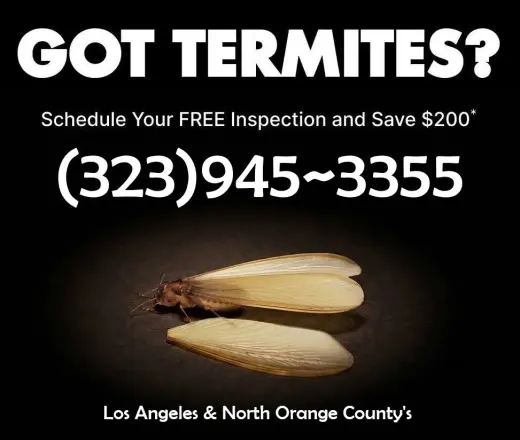 TERMITE HOME INSPECTOR EN SU AREA.-