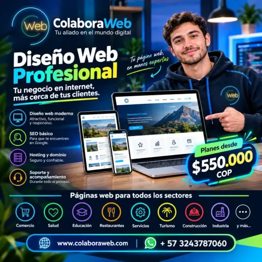 Diseño y Desarrollo Web Profesional