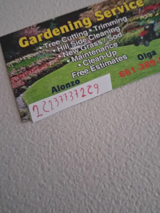 Servicios de Jardinería Profesionales - Presupuestos Gratis