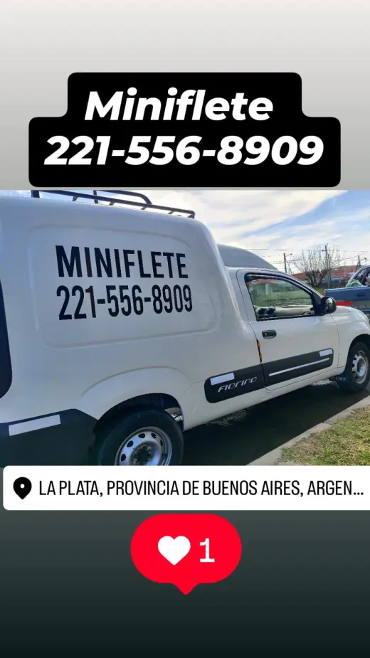 Miniflete Dario