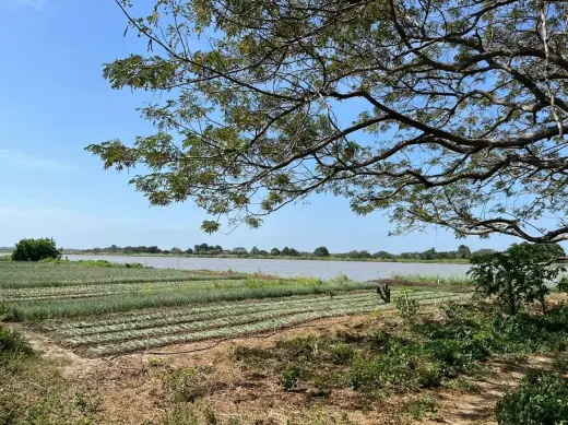 Predio Rural 3ha, frente río Magdalena, Barranquilla a 10Km -  $230.000 COP/m2