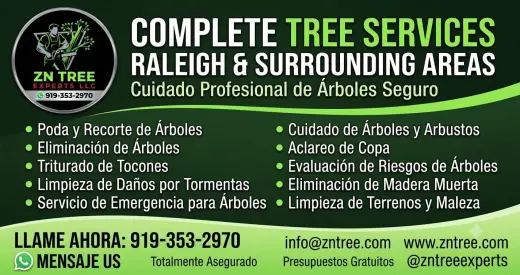 Servicios Completos de Árboles en Raleigh y Áreas Circundantes