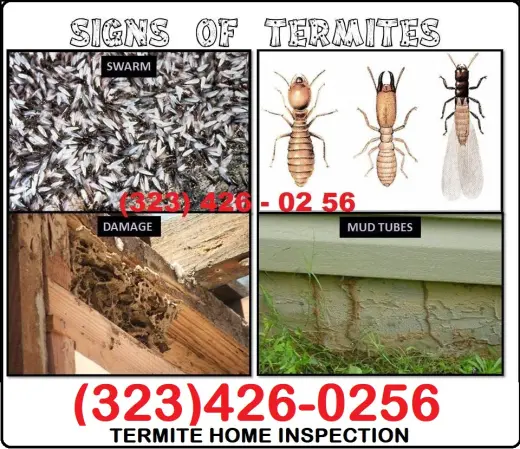 FUMIGACIONES TERMITAS LOS ANGELES.-