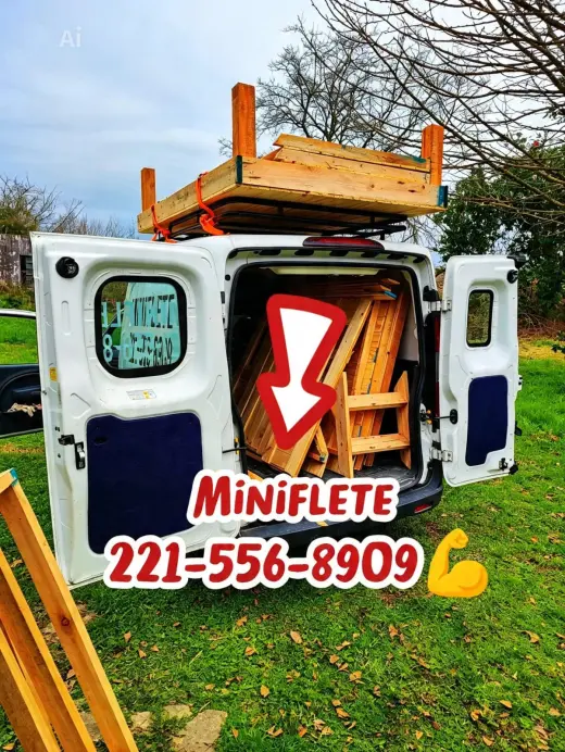 Minifletes