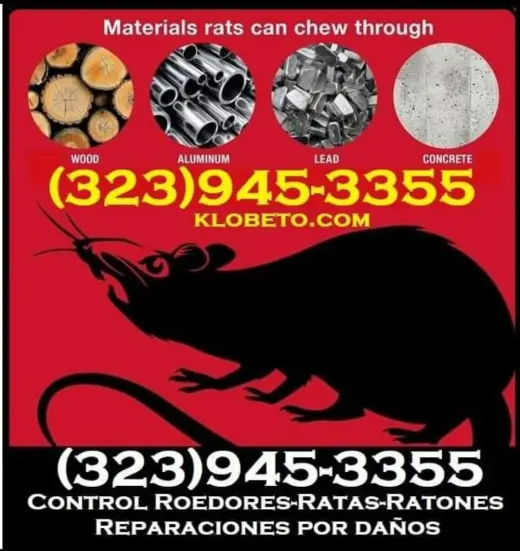 Control Ratones y Reparaciones