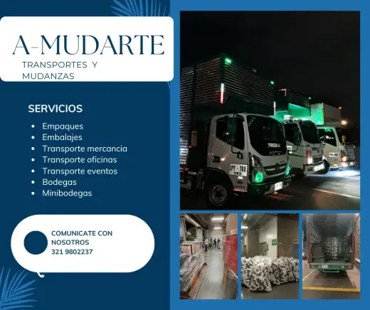 mudanzas locales y nacionales
