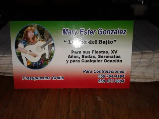 Servicios de Música en Vivo para Eventos