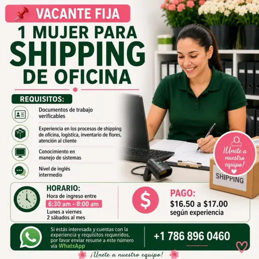 Mujer para trabajar en shipping de oficina