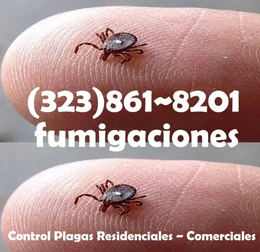 FUMIGACIONES TODO SUR DE CALIFORNIA.-
