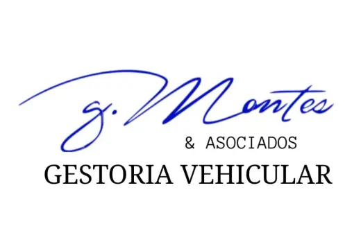 Montes y asociados gestoria vehicular