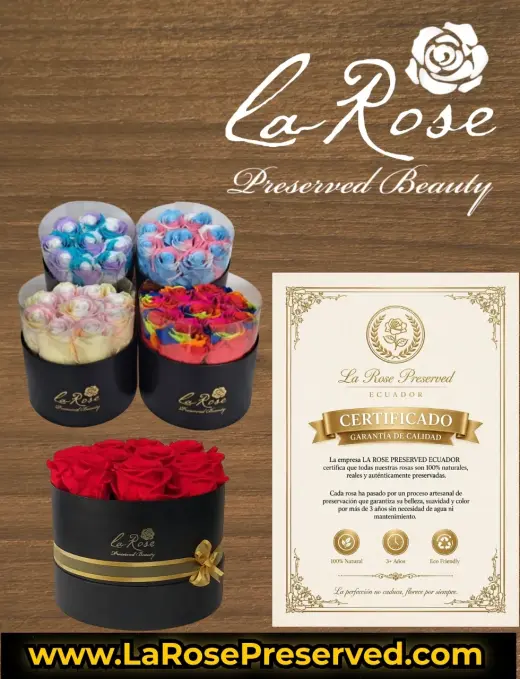 WholeSale Eternal Roses Supplier Exporters Ecuador Premium Preserved Roses