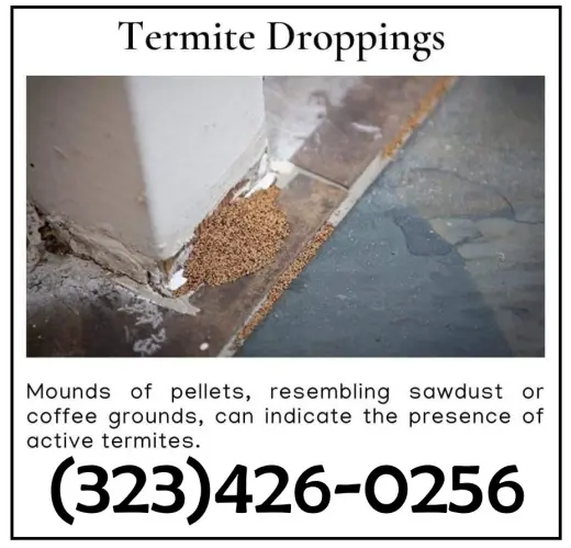 FUMIGACIONES TERMITAS EAST LOS ANGELES