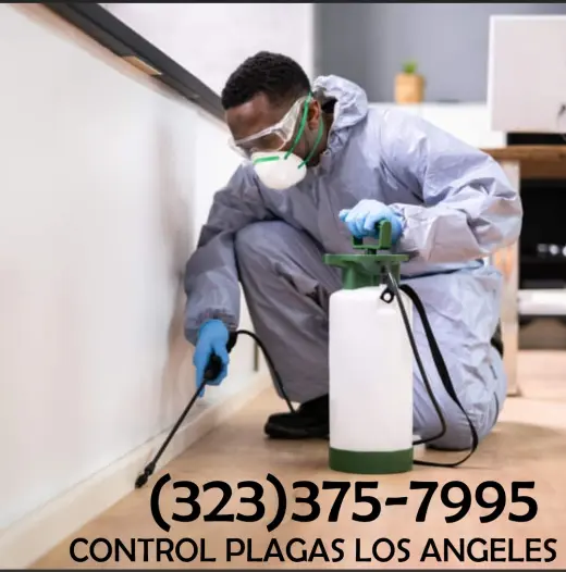 FUMIGACIONES LOS ANGELES 24~7.-