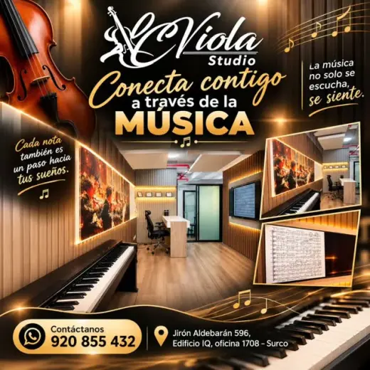 ORQUESTA SINFONICA, CLASES DE VIOLA / VIOLIN, Lima