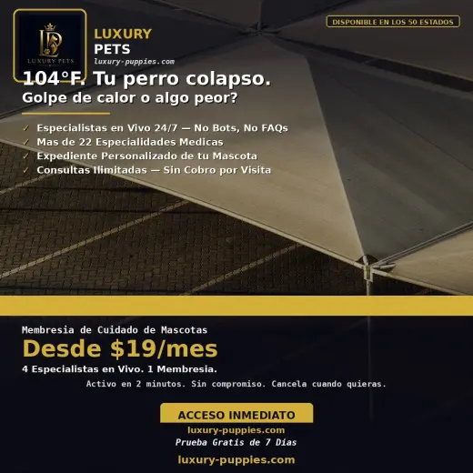 Cuidado y Bienestar de Mascotas 24/7 — Luxury Pets Global