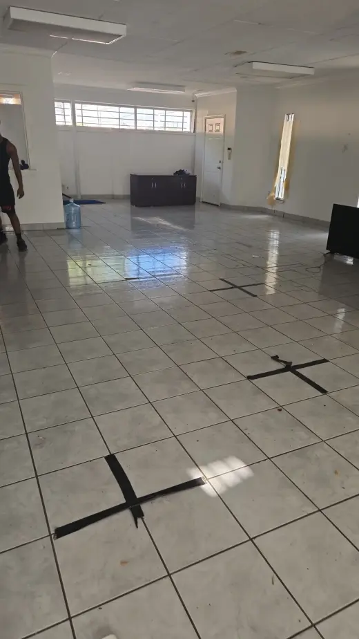 Señora Para trabajo de limpieza