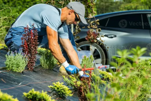 Jardinero profesional