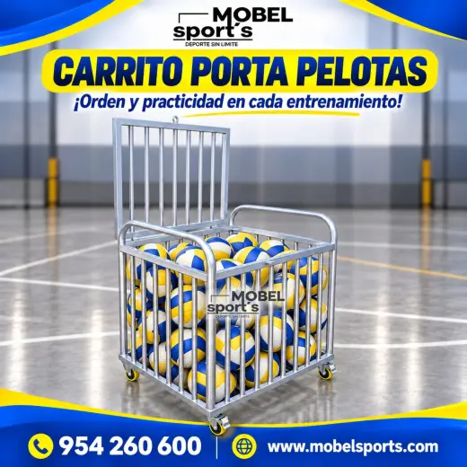Coche porta balones de fubol, voley, basquet