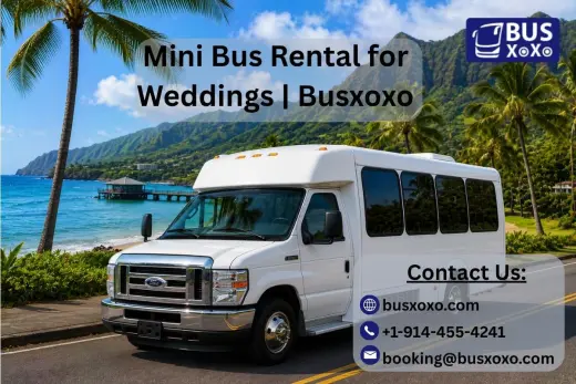 Mini Bus Rental for Weddings | Busxoxo