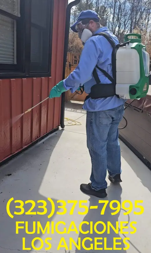 FUMIGACIONES