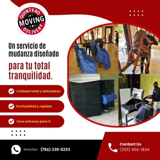 Mudanzas en florida