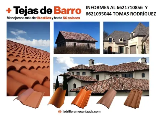 Tejas de Barro Altamente Resistentes. inf. 6621035044