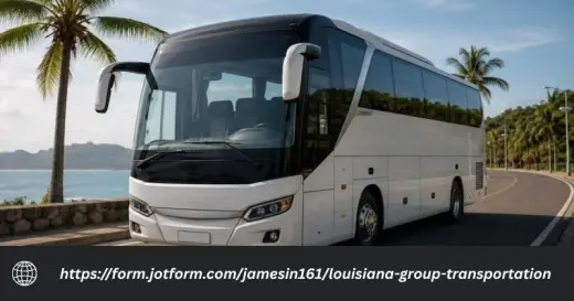 Affordable Group Travel Solutions in Louisiana