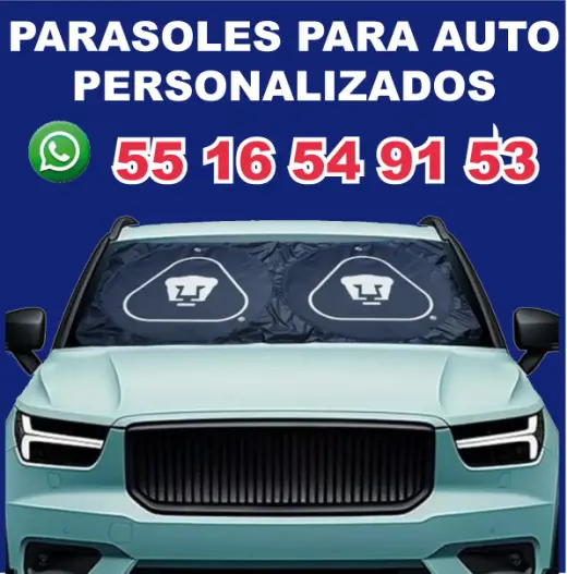 PARASOLES PARA AUTO