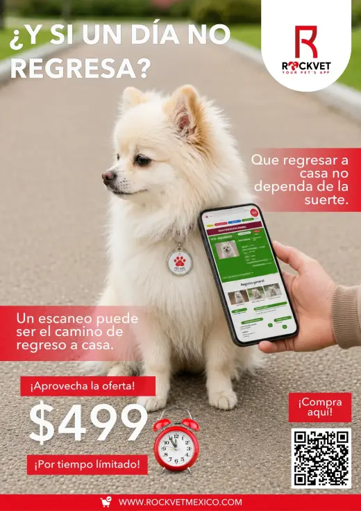 Collar Pet NFC