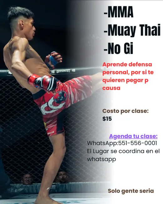 Clases de MMA, Muay Thai y jiujitsu