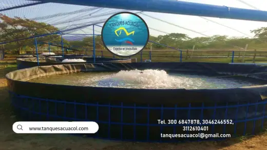 INSTALACIÓN Y ASESORÍA EXPERTA