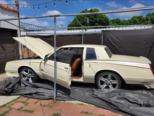 1981 Chevrolet Monte Carlo