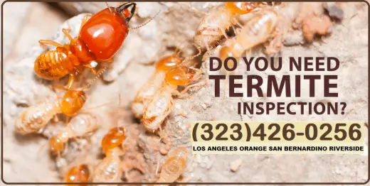 FUMIGACIONES - INSPECCIONES TERMITAS L.A.-