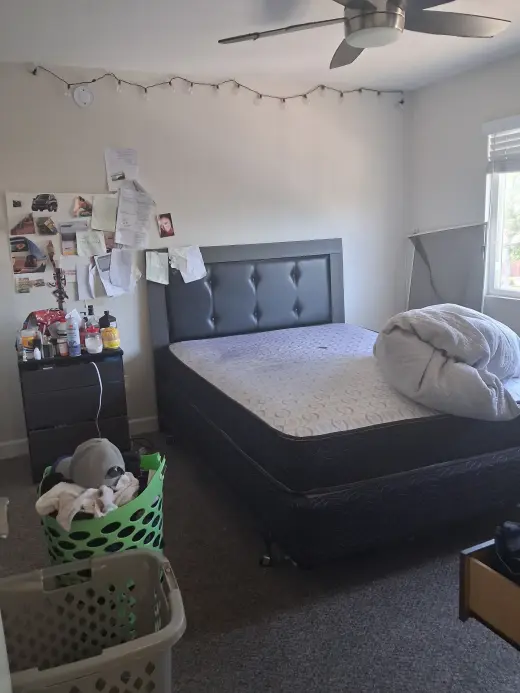 Room for rent