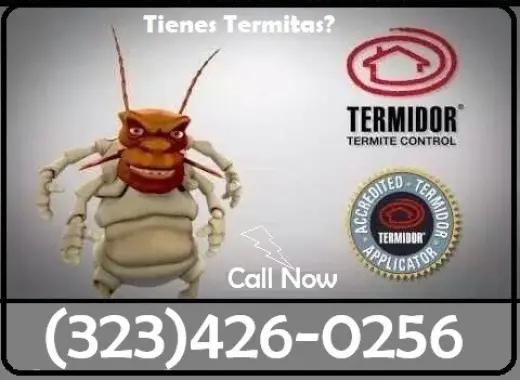 FUMIGACION TERMITAS LOS ANGELES