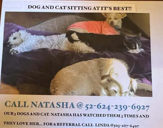 Cuidado De Mascotas / Pet Care