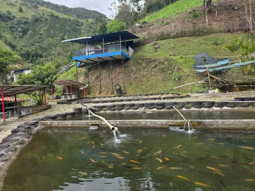 GLAMPING BARBOSA ANTIOQUIA