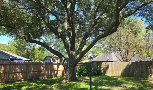 Conveniently Located Rental Home