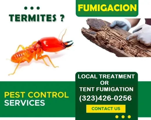 FUMIGACIONES TERMITAS ~ POLILLAS ~ COMEJEN 24/7.~