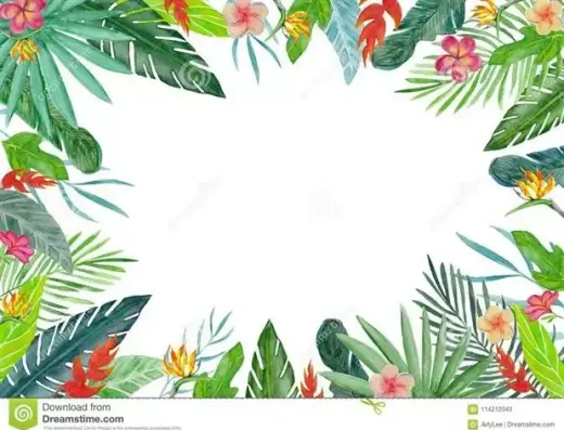 GRUPO TROPICAL SAN SANLVA